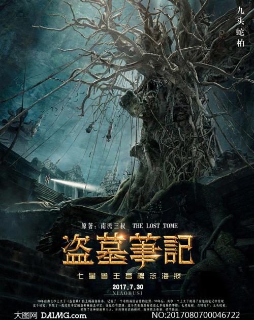 香港驾照照片